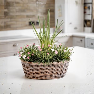 Handcrafted Wicker Oval Plant Pot – Rustic Table top Planter Woven Basket with inner lining.