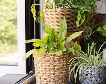 Feni Handwoven Seagrass Round Planter