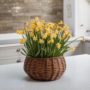 Natural Shallow Round Wicker Table Top Planter – Flower and Herb Basket with Inner Lining.