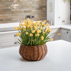 Natural Shallow Round Wicker Table Top Planter – Flower and Herb Basket with Inner Lining.