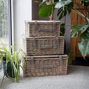 May include: Three rectangular wicker storage baskets stacked on top of each other. They have grey leather handles and straps. The baskets are light brown and sit on a light grey rug. Plants and a window are in the background.