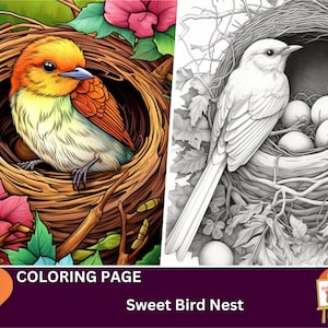 34 Cute Bird Nest Coloring Pages for Adults and Kids, Instant Download, Grayscale Coloring Book, Floral Mandala Anime Fantasy Colouring Page