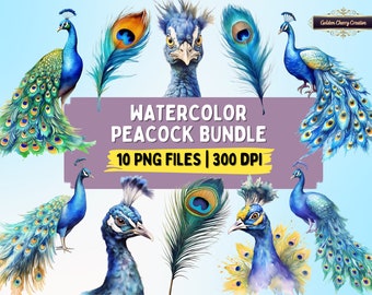 Clipartbundel aquarel Peacock: 10 png-bestanden (digitale download)
