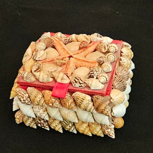 Seashell Jewelry Box - Etsy