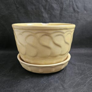 May include: A yellow ceramic planter with a scalloped rim and a matching saucer. The planter has a textured design of overlapping leaves.
