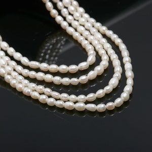 Natural Freshwater Sujni Beads, Natural Rice Pearl, Small Size Rice Pear Beads, 3mm Pearl Beads Necklace, Pearl Beads