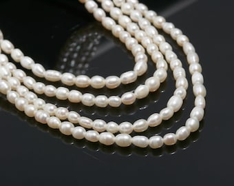 Natural Freshwater Sujni Beads, Natural Rice Pearl, Small Size Rice Pear Beads, 3mm Pearl Beads Necklace, Pearl Beads