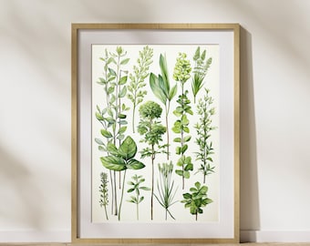 Keukenposter "Kruiden #2" op mat premium papier, decoratie, wanddecoratie.