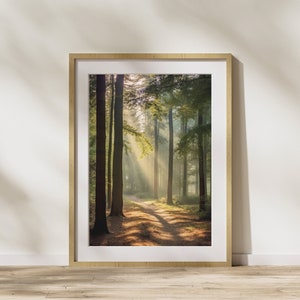Naturbild "Wald" Poster auf mattem Premium-Papier, Deko, Wanddeko.