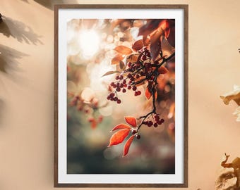 Herfstfoto "Rode bessen #2" poster op mat premium papier, decoratie, wanddecoratie.