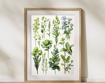 Pôster "Ervas nº 1" para cozinha, impresso em papel fosco premium, para decoração de parede.