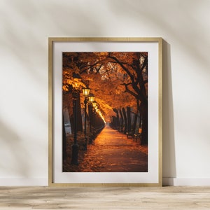 Herbstbild "Allee bei Herbst" Poster auf mattem Premium-Papier, Deko, Wanddeko.