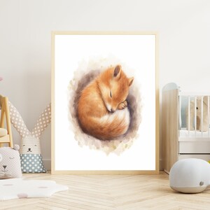Kinderbild "schlafendes Eichhörnchen #1" Poster auf mattem Premium-Papier, Kinderzimmer, Tierposter, Deko, Wanddeko.
