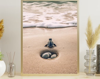 Beach & Sea "Turtle #1" Poster on matte premium paper, decoration, wall decoration.