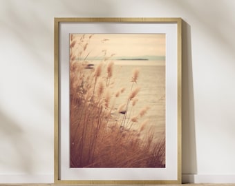 Nature picture "Dune Grass #2" poster on matte premium paper, decoration, wall decoration.