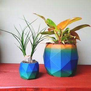 Op de afbeelding: Twee geometrische potten met een gradiënt van blauw, groen en oranje. De kleinere pot is gevuld met een groene plant met lange, dunne bladeren. De grotere pot is gevuld met een plant met oranje en groene bladeren.