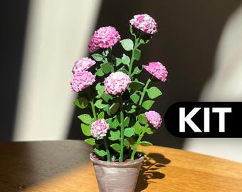 以下が含まれることがあります： 複数の茎に小さな質感のあるピンクと白の花の房と緑の葉がついたミニチュアの鉢植えで、シンプルな薄茶色の先細りの鉢に入っています。黒い角丸の長方形の中に白い文字でKITと書かれています。