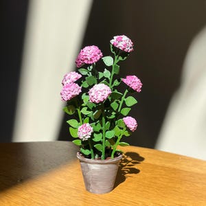 May include: A miniature potted plant with pink and white flowers. The plant has green stems and leaves, and is in a brown pot. The plant is sitting on a wooden table, with sunlight casting shadows on the wall behind it.