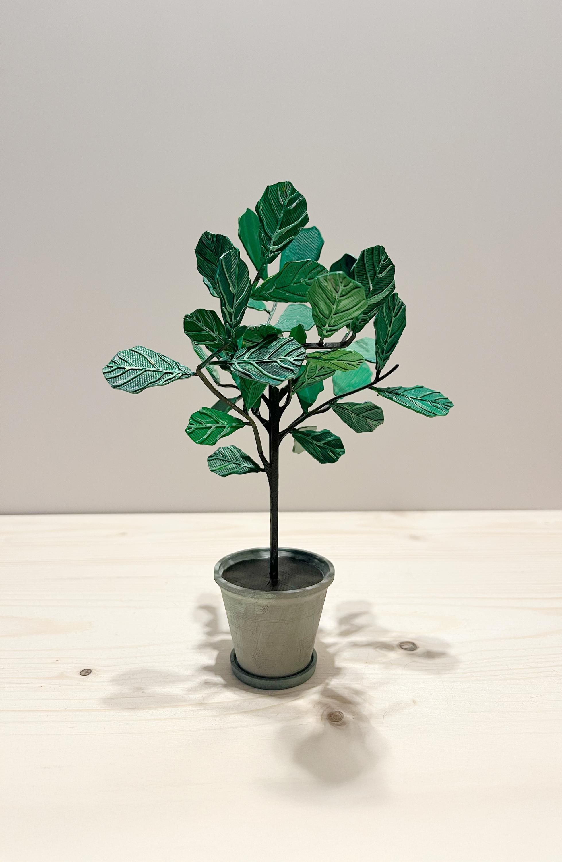 Fiddle leaf fig tree - Etsy.de