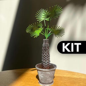 Könnte beinhalten: Ein Miniatur-Palmenmodell mit strukturiertem braunem Stamm und grünen fächerförmigen Blättern, eingetopft in einen verwitterten grauen Keramiktopf. Das Wort KIT ist in Weiß auf einem schwarzen rechteckigen Hintergrund rechts neben der Pflanze gedruckt.