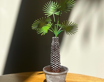 Miniatyr solfjäderpalm STL 1:12 – Dockhuspalm med texturerad stam – Utskrivbar tropisk växt i kruka