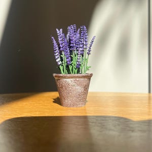 Könnte beinhalten: Eine kleine Topfpflanze mit leuchtend violetten Blütenähren und grünen Stielen. Die Pflanze steht in einem strukturierten, braunen Topf auf einer Holzoberfläche. Die Szene wird von natürlichem Licht beleuchtet.