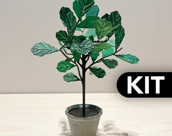 以下が含まれることがあります： 質感のある緑の葉と濃い茶色の茎を持つミニチュアのカシワバゴムノキで、小さな灰色の鉢に植えられています。右側には、白い文字でKITと書かれた黒い長方形のグラフィックが配置されています。