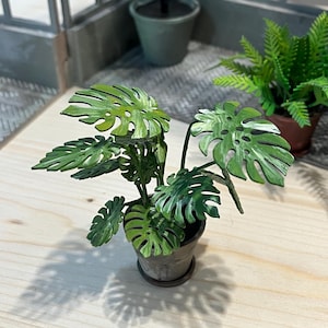 May include: A miniature potted plant with large, green, split leaves, resembling a Monstera. The plant is in a small, grey pot with a matching saucer. The leaves have white accents. Another plant is visible in the background.