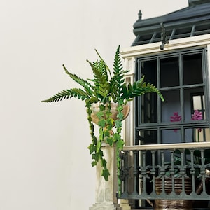 Fern or Ivy Planter - Etsy