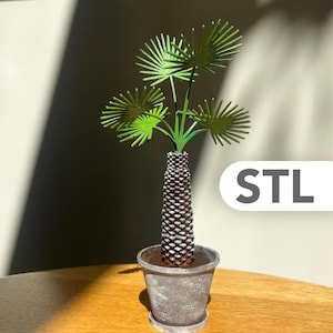 Könnte beinhalten: Eine Miniatur-Palme mit einem strukturierten braunen Stamm und grünen fächerförmigen Blättern, eingetopft in einen verwitterten grauen Keramiktopf mit passendem Untersetzer. Der Text STL ist rechts im Bild zu sehen und weist auf ein Dateiformat hin.