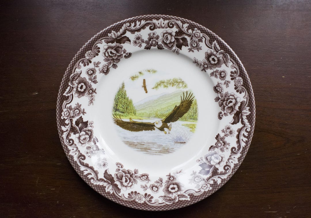 Spode Spring Plates Dinner Plate Spode, Woodland Birds of Prey, Spring Bald Eagle, 9.25 ...