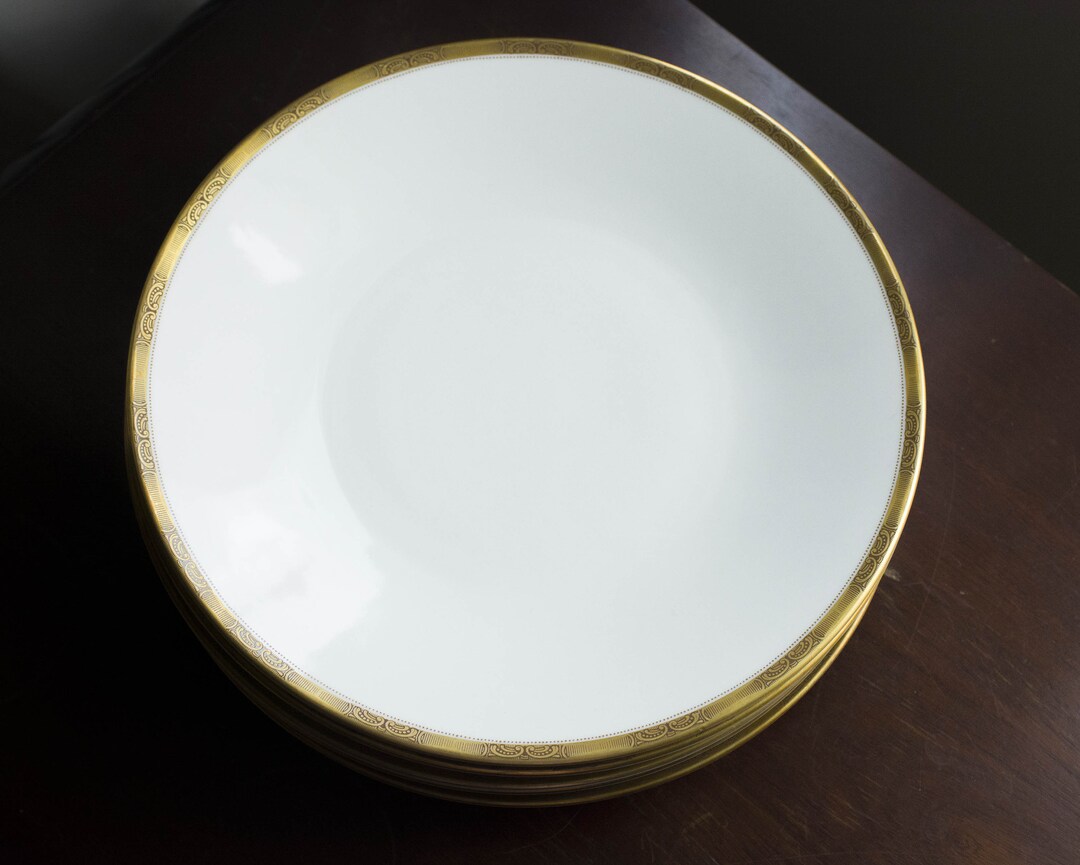 Set of 5 X Big Dinner Plates 24cm Hutschenreuther Etsy