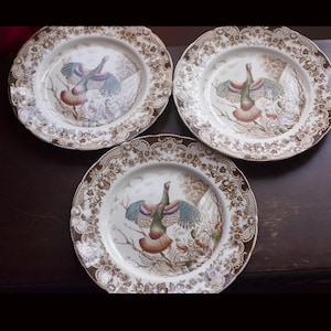 Johnson Brothers, Serie Wild Turks, Windsor Ware, braune Transferware, Essteller, Vitrine, Essteller Geschirr, braunes Transwerware,