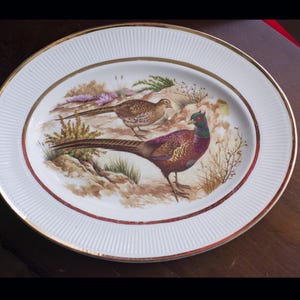 Puede incluir: Plato ovalado de cerámica con borde blanco acanalado y ribete dorado. El centro presenta una pintura detallada de dos faisanes en un paisaje natural con tonos marrones, verdes y morados. Un borde rojo acentúa la escena de las aves.