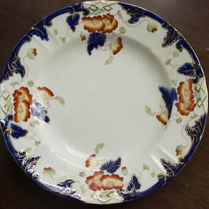 Può includere: Un piatto in ceramica bianca con un bordo blu e oro. Il piatto è decorato con un motivo floreale in tonalità di arancio, blu e verde.