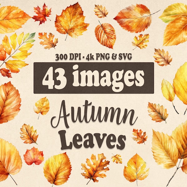 Autumn Leaves Clipart SVG, Watercolor Fall Leaves PNG, Watercolor Autumn Clip art, autumnal leaves clipart, Autumn SVG, Commercial Use