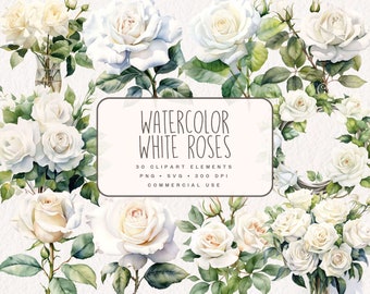 Könnte beinhalten: Aquarell-Clipart-Set mit 30 weißen Rosen, perfekt für Hochzeitseinladungen, Grußkarten und andere Bastelprojekte. PNG- und SVG-Dateien, 300 DPI, kommerzielle Nutzung.