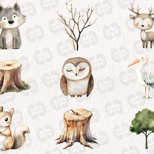 May include: A set of watercolor illustrations featuring woodland creatures and trees. The illustrations include a wolf, a deer, an owl, a squirrel, a tree stump, a tree, and a stork.