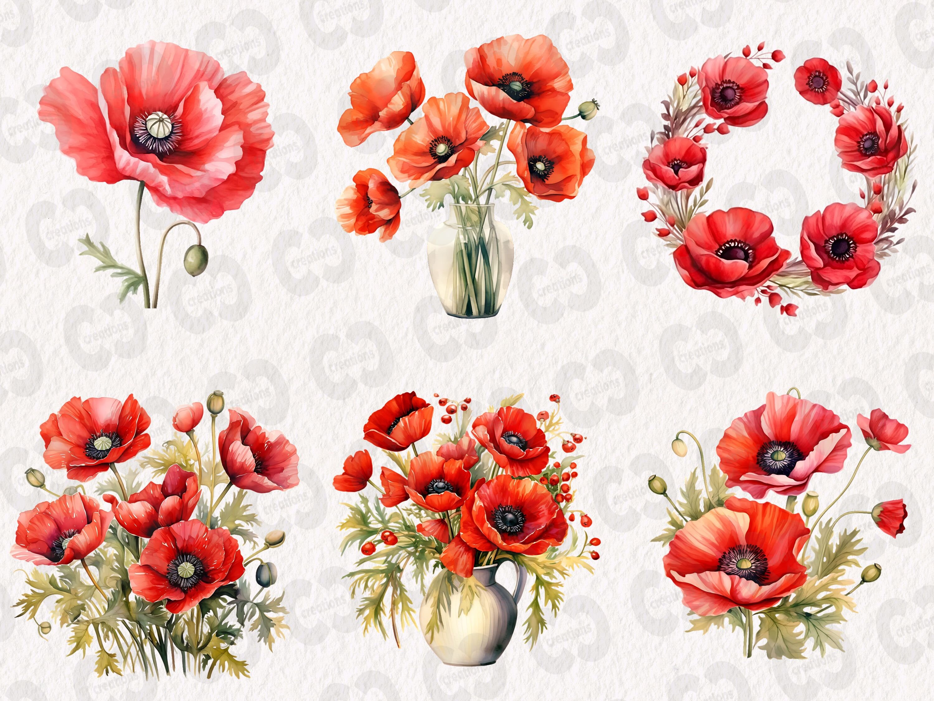 Watercolor Poppies Clipart Bundle, Red Poppy Flower Graphics in PNG and ...