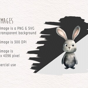May include: A digital illustration of a grey rabbit with large ears and big eyes. The rabbit is standing on a transparent background. The image is 4096 x 4096 pixels and 300 DPI.