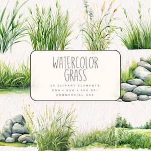 Bundle de cliparts d'herbe aquarelle, bordures d'herbe botanique, graphiques de touffes d'herbe et illustrations de pierre en PNG et SVG pour un usage commercial
