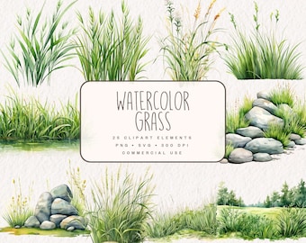 Watercolor Grass Clipart Bundle, Botanical grass borders, tufts of grass graphics and stone illstrations in PNG and SVG for commercial use