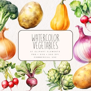 Bundle de cliparts aquarelle de légumes, légumes en PNG et SVG, graphiques d'aliments sains, illustrations numériques de produits naturels pour un usage commercial