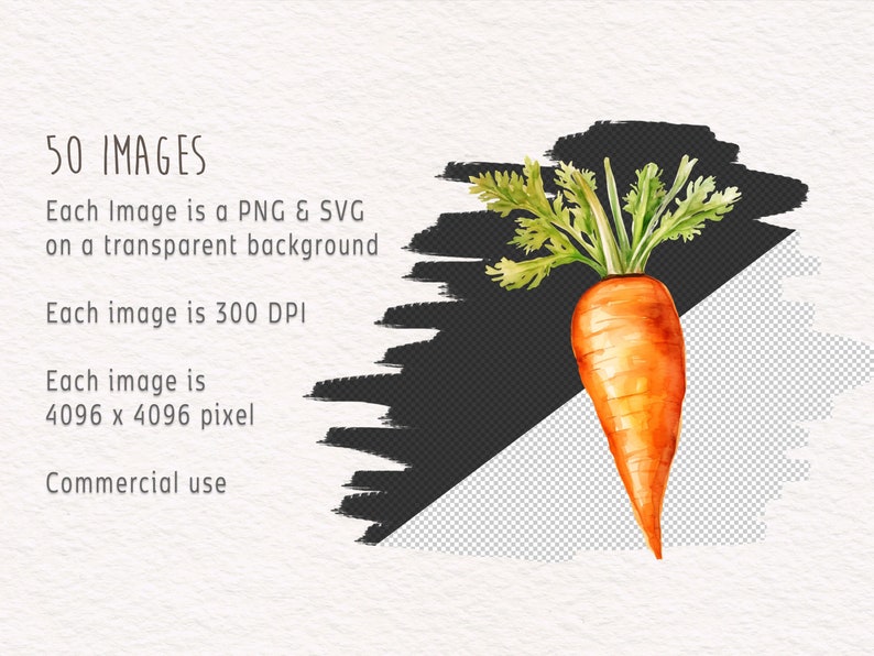May include: Watercolor illustration of a single orange carrot with green leafy tops. The carrot is isolated on a transparent background.