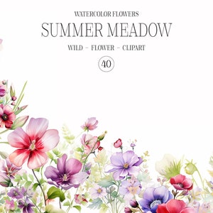 Conjunto de clipart floral selvagem de verão, flores silvestres, flores silvestres em aquarela, clipart floral, clipart pré-fabricado, clipart de casamento, clipart aquarela