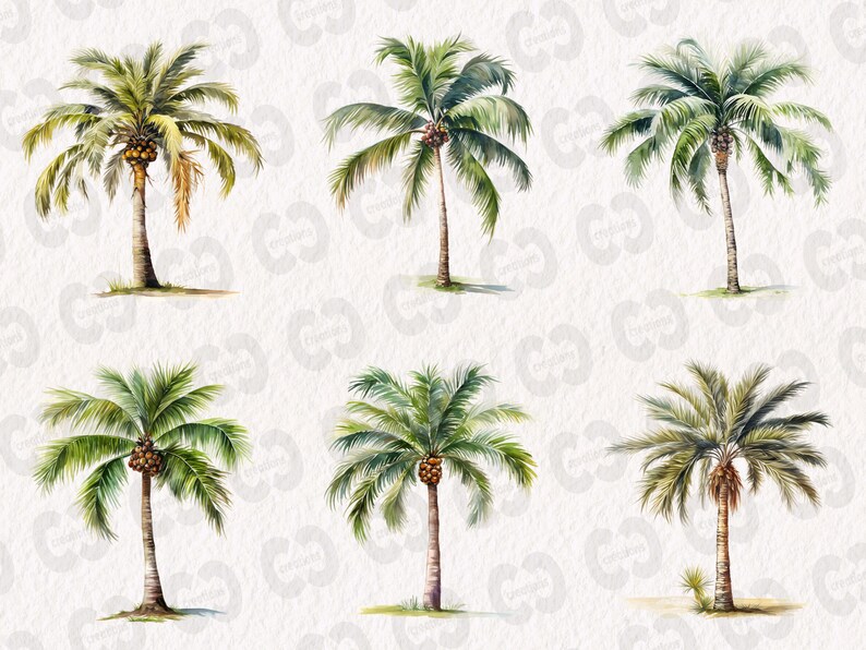 May include: Six watercolor illustrations of palm trees with green leaves and brown trunks against a white background.