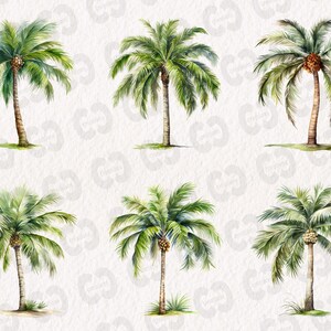 May include: Six watercolor illustrations of palm trees with green leaves and brown trunks against a white background.
