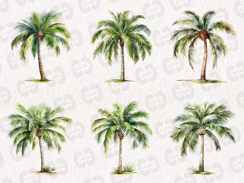 May include: Six watercolor illustrations of palm trees with green leaves and brown trunks against a white background.