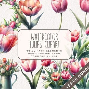 Aquarell Tulpen, Clipart Bundle, Blumen Grafiken im PNG- und SVG-Format zur kommerziellen Nutzung als Sofort-Download