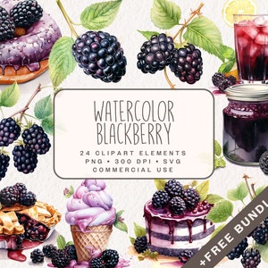 Pakiet clipartów akwarelowych Blackberry, słodkie grafiki jedzenia w formatach PNG i SVG, cyfrowe ilustracje Blackberry do użytku komercyjnego
